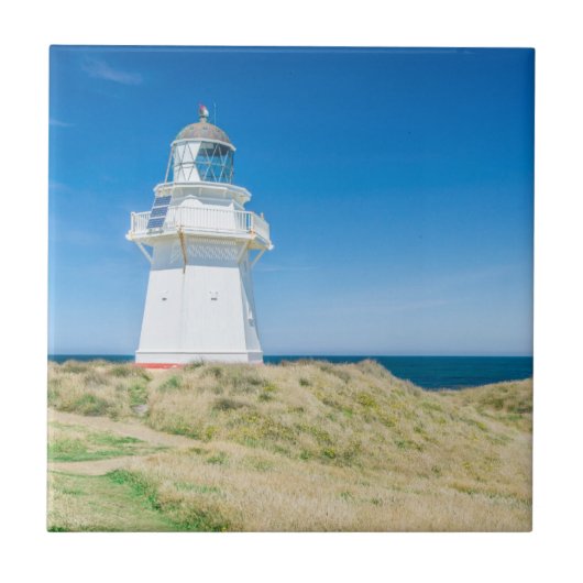 Carreau Nouvelle-Zélande, South Island, Catlins, Waipapa (Devant)