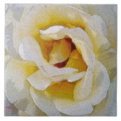 Carreau nuances de blanc au jaune (Devant)