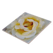 Carreau nuances de blanc au jaune (Côté)