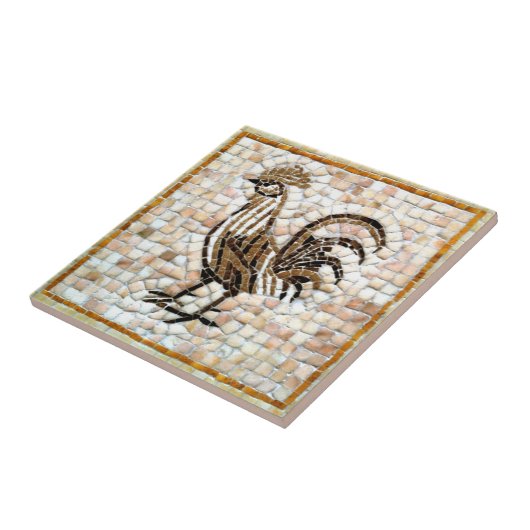 Carreau Nuances de conception de poulet en mosaïque Brown  (Côté)