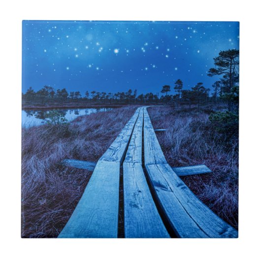 Carreau Nuit des marais (Devant)