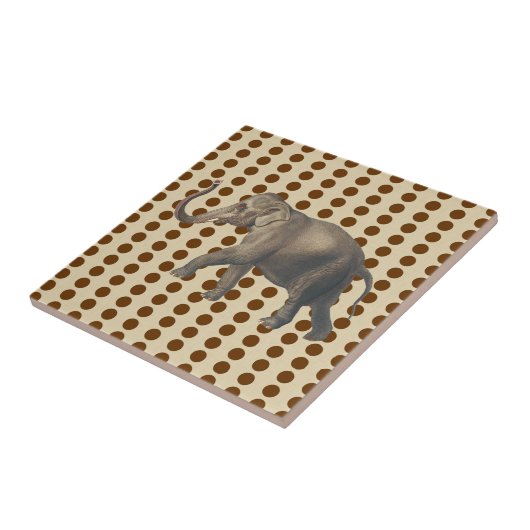 Carreau Nutmeg Spice Moods Doses avec éléphant (Côté)