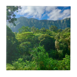 Carreau Oahu, forêt tropicale d'Hawaii
