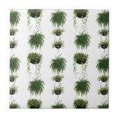 Carreau Oasis intérieure | Paniers pendants (Devant)