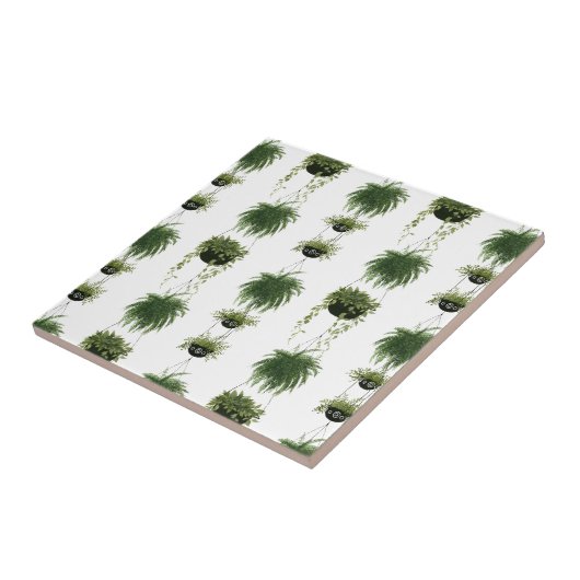 Carreau Oasis intérieure | Paniers pendants (Côté)