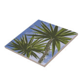 Carreau Oasis Tropical Palmiers (Côté)