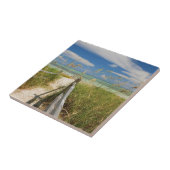 Carreau Oats de mer Uniola paniculata) poussant sur la pla (Côté)