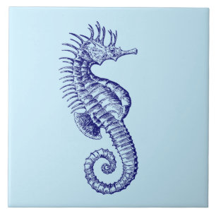Carreau Ocean Beach Seahorse