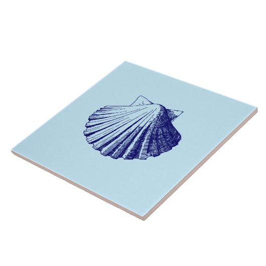 Carreau Ocean Beach Seashell (Côté)