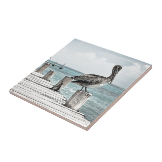 Carreau Océan côtier Pélican (Côté)
