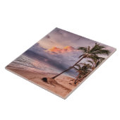 Carreau Ocean Waves Sandy Beach Sunset (Côté)