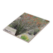 Carreau Ocotillo de l'Arizona (Côté)