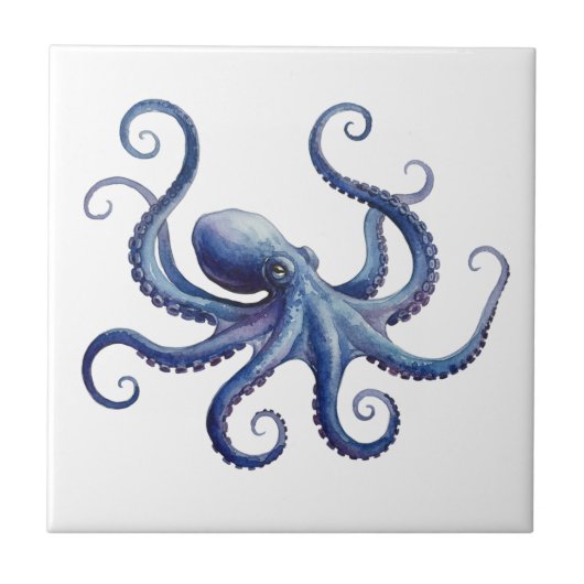 Carreau Octopus (Devant)