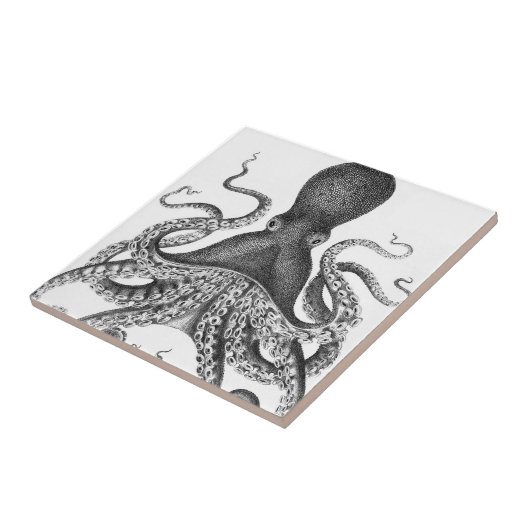 Carreau Octopus d'impression Vintage (Côté)