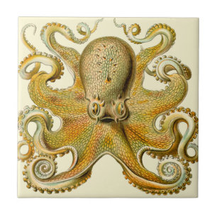 Carreau Octopus illustration antique monstre marin