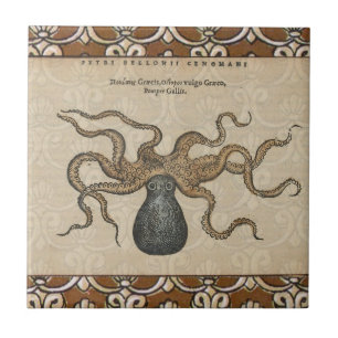 Carreau Octopus Kraken Illustration Vintage