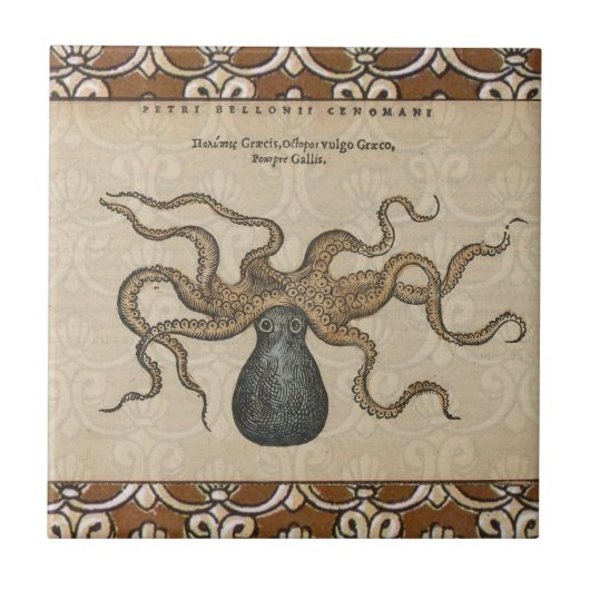 Carreau Octopus Kraken Illustration Vintage (Devant)