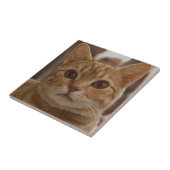 Carreau Oeil brun de chat  (Côté)