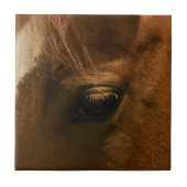 Carreau Oeil de cheval (Devant)