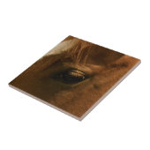 Carreau Oeil de cheval (Côté)