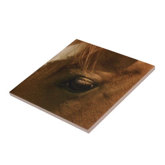 Carreau Oeil de cheval (Côté)