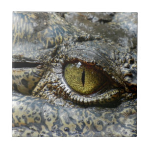 Carreau œil de crocodile visage animal personnalisé diy