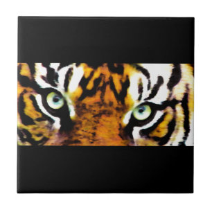 CARREAU OEIL DE TIGRE_
