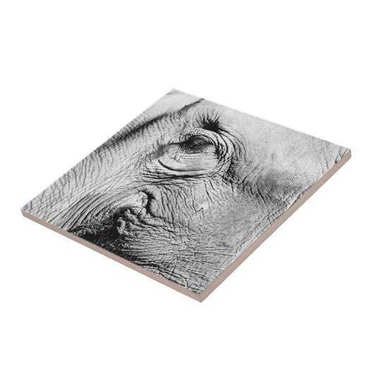 Carreau Oeil d'éléphants, 2017 (Côté)