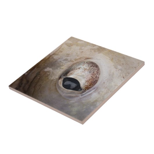 Carreau OEil octopique (Côté)