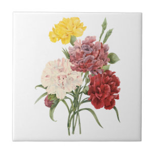 Carreau Oeillets vintages Dianthus Garden Flowers Redoute