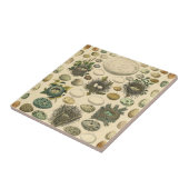 Carreau OEuf vintage Nid Art Peinture OEufs (Côté)