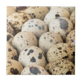 Carreau Oeufs de caille (Devant)