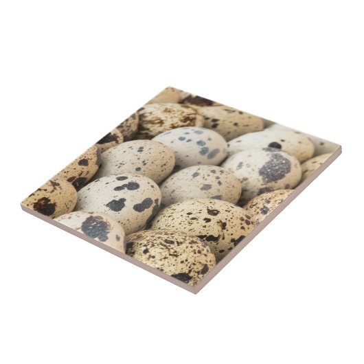 Carreau Oeufs de caille (Côté)