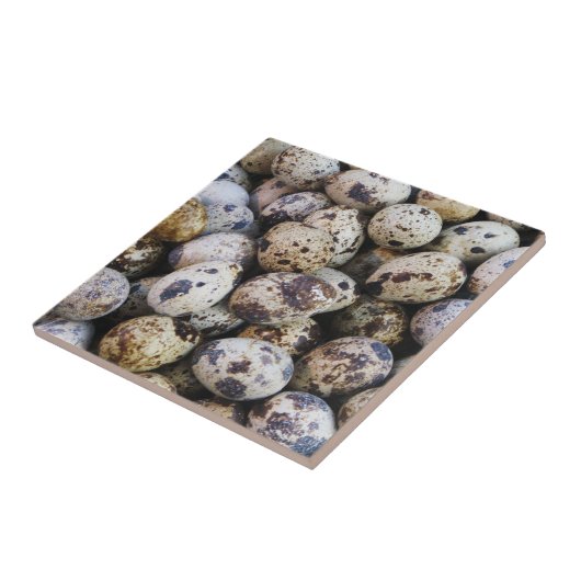 Carreau Oeufs de caille (Côté)