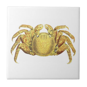 Carreau Œuvre d'art côtière vintage nautique crabe variegé