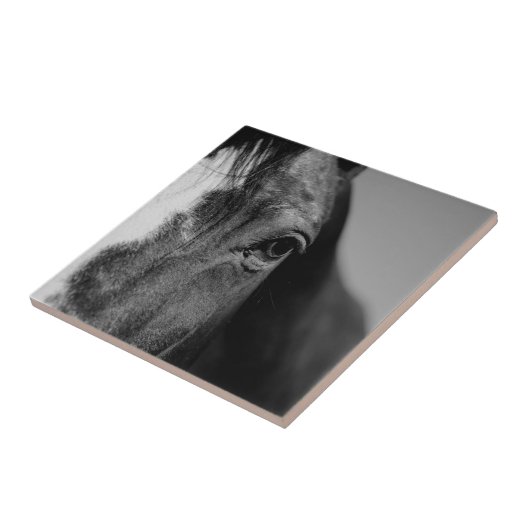 Carreau OEuvre d'oeil noir blanc (Côté)