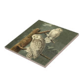 Carreau OEuvre d'OEuf Audubon (Côté)