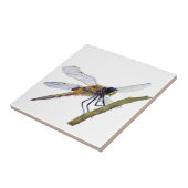 Carreau Oeuvre en aquarelle de quatre libellules tachetées (Côté)