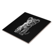 Carreau Oh Bébé Gros Chat Cub Gris (Côté)