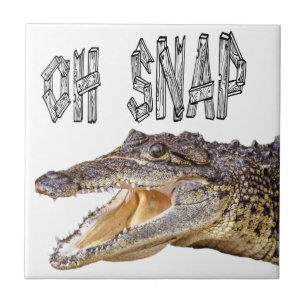 Carreau OH SNAP - Gator en colère