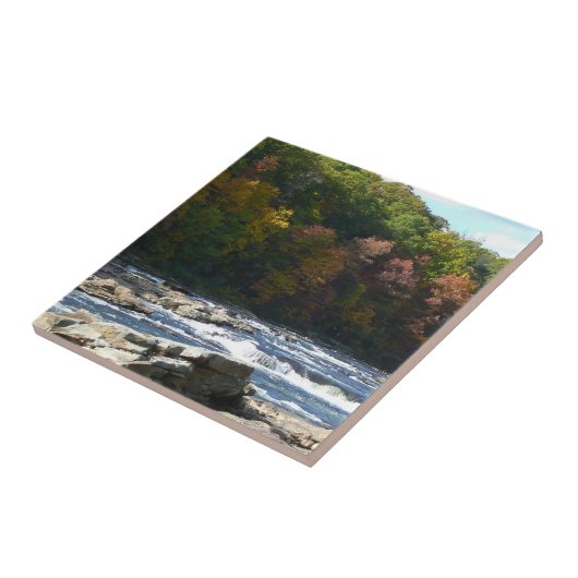Carreau Ohiopyle River Rapids à l'automne Pennsylvanie Aut (Côté)