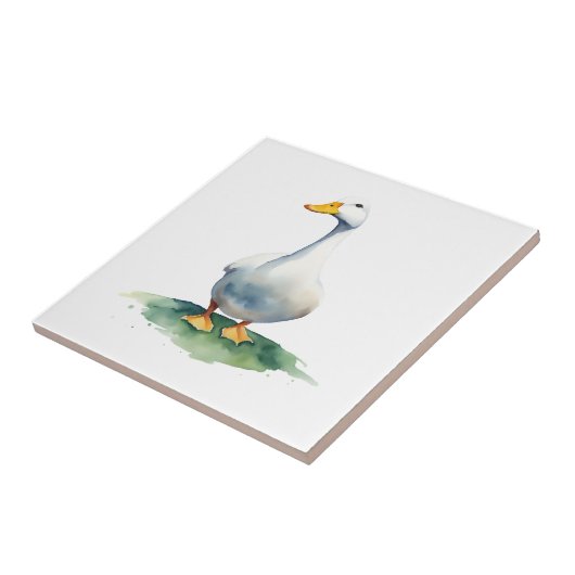 Carreau Oie (Côté)