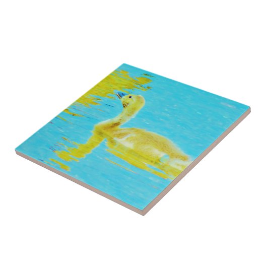 Carreau Oie-bébé jaune avec eau bleu clair (Côté)
