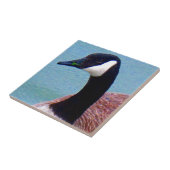 Carreau Oie canadienne sauvage (Côté)