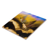 Carreau Oie d'Or (Côté)