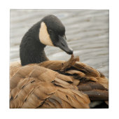 Carreau Oie du Canada sur le lac (Devant)