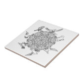 Carreau Oiseau (Côté)