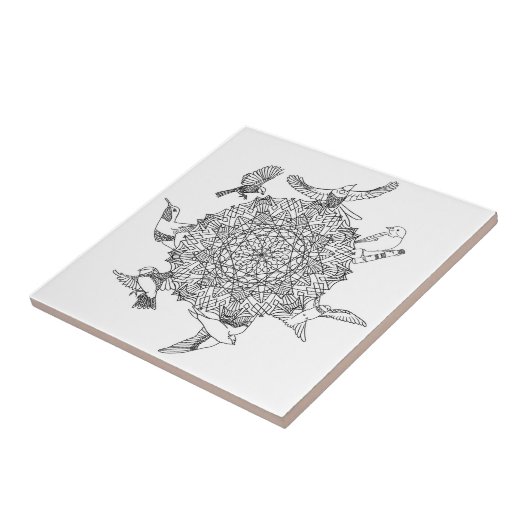 Carreau Oiseau (Côté)