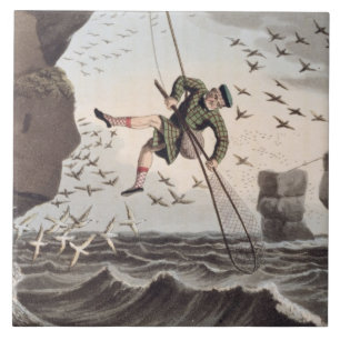 Carreau Oiseau attrapant d'en haut, gravé par Matthew Dub