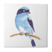 Carreau Oiseau bleu (Devant)